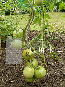 信用卡二千逾期兩年 信用卡3千逾期兩年