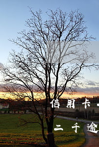 信用卡二千逾期會(huì)坐牢嗎(信用卡二千逾期會(huì)坐牢嗎)