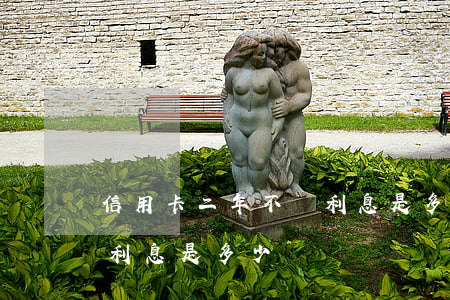 信用卡二年不還利息是多少(信用卡二年不還利息是多少)