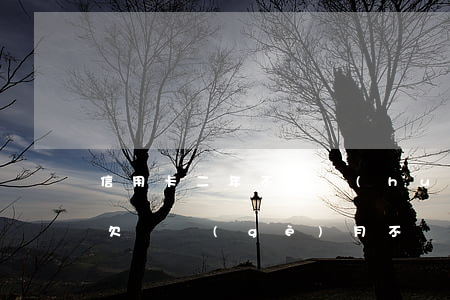 信用卡二年不還會(huì)怎么樣(信用卡欠兩個(gè)月不還會(huì)怎么樣)