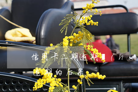 信用卡二期逾期會(huì)怎么樣(信用卡逾期的后果)