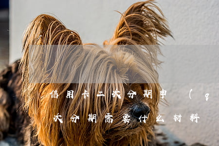 信用卡二次分期申請(qǐng)(信用卡二次分期需要什么材料)