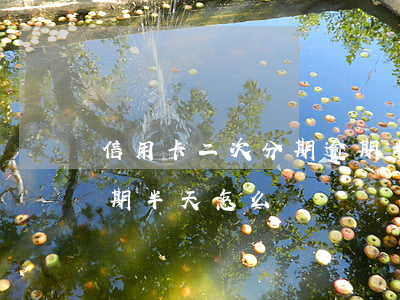 信用卡二次分期逾期半天(信用卡二次分期逾期半天怎么辦)