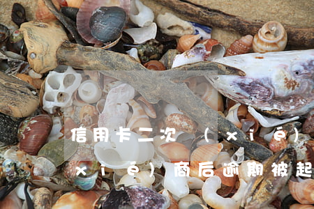 信用卡二次協(xié)商(信用卡二次協(xié)商后逾期被起訴)