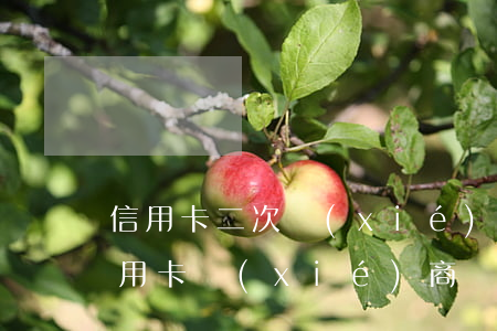 信用卡二次協(xié)商后逾期怎么辦(信用卡協(xié)商還款成功后再次逾期怎么辦)