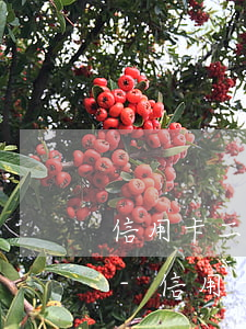 信用卡二次協(xié)商后逾期怎么辦法-信用卡二次協(xié)商后逾期怎么辦法恢復