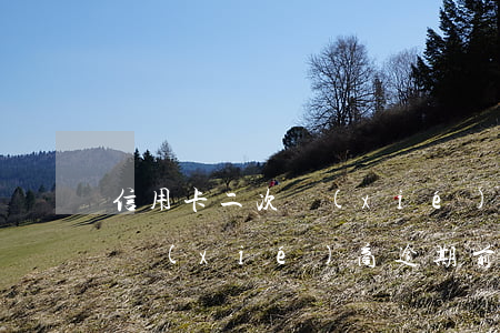 信用卡二次協(xié)商逾期(信用卡二次協(xié)商逾期前面還的白還了嗎)