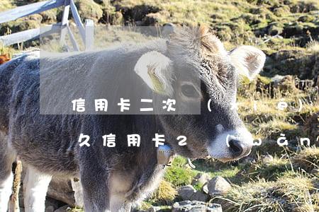 信用卡二次協(xié)商逾期起訴需要多久(信用卡2萬(wàn)逾期多久會(huì)被起訴)