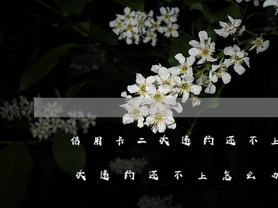 信用卡二次违约还不上怎么办呢-信用卡二次违约还不上怎么办呢怎么解决