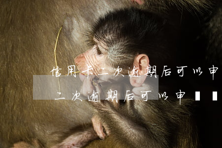 信用卡二次逾期后可以申請減免嗎-信用卡二次逾期后可以申請減免嗎知乎