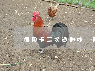 信用卡二次逾期咋辦(第二次信用卡逾期)