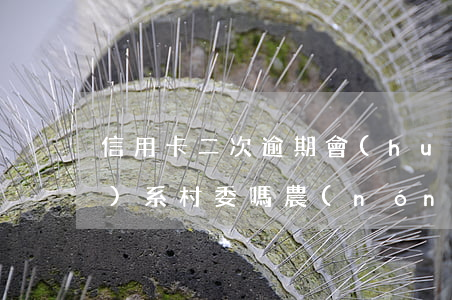 信用卡二次逾期會(huì)聯(lián)系村委嗎 農(nóng)村信用社信用卡逾期2天會(huì)有不良記錄嗎