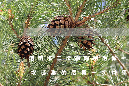 信用卡二次逾期的后果一次付清-信用卡二次逾期的后果一次付清會怎么樣