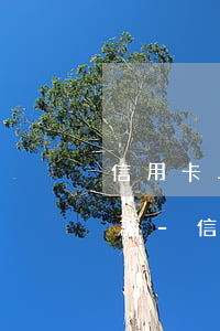 信用卡二次違約還可以協(xié)商嗎電話-信用卡二次違約還可以協(xié)商嗎電話打不通