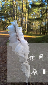 信用卡二萬(wàn)元逾期后果(信用卡逾期兩萬(wàn)塊沒(méi)還會(huì)怎么樣)