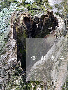 信用卡二萬逾期一年了（信用卡二萬逾期一年了）