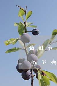 信用卡五万以上一定会坐牢吗-信用卡5万以下会不会坐牢