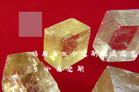 信用卡五个逾期但是还完了(信用卡5年内有5个月逾期)