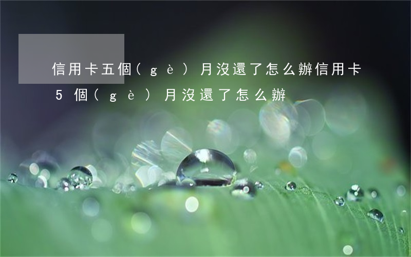 信用卡五個(gè)月沒還了怎么辦(信用卡5個(gè)月沒還了怎么辦)