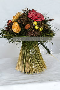 信用卡五個月不還會怎么樣(五千的信用卡五年沒還會怎么樣)