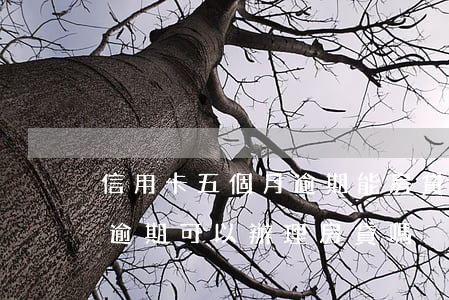 信用卡五個月逾期能房貸嗎(五年內信用卡有逾期可以辦理房貸嗎)