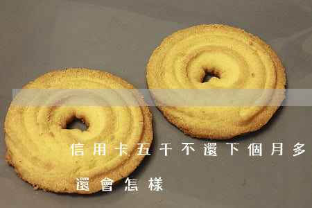 信用卡五千不還下個月多少(五萬的信用卡不還會怎樣)