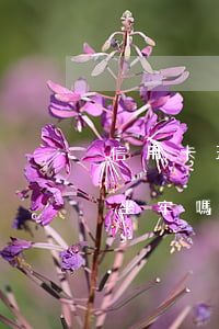 信用卡五千不還有案底嗎(欠信用卡一萬五會坐牢嗎)