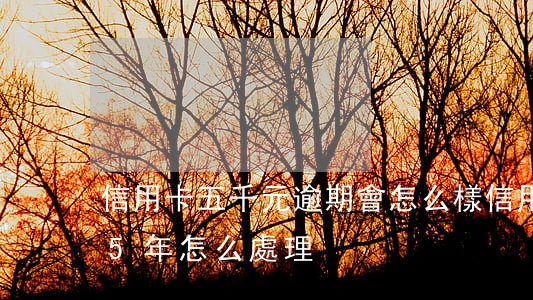 信用卡五千元逾期會怎么樣(信用卡5千逾期5年怎么處理)