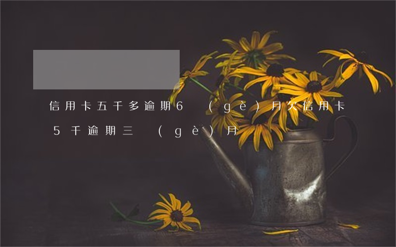 信用卡五千多逾期6個(gè)月 欠信用卡5千逾期三個(gè)月
