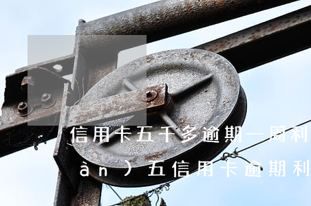 信用卡五千多逾期一周利息多少-三萬(wàn)五信用卡逾期利息多少
