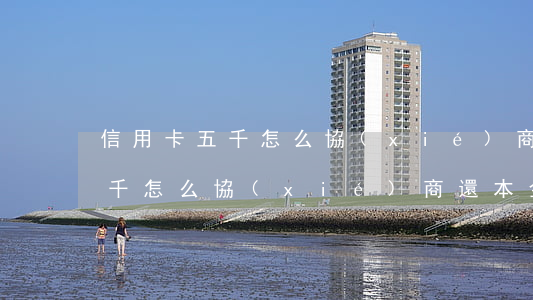 信用卡五千怎么協(xié)商-信用卡五千怎么協(xié)商還本金