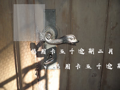 信用卡五千逾期二月應(yīng)還多少錢-信用卡五千逾期二月應(yīng)還多少錢呢