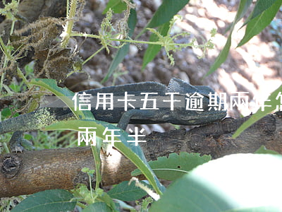 信用卡五千逾期兩年怎么辦(5千信用卡逾期兩年半)