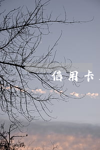 信用卡五千逾期半年了多久要被起訴