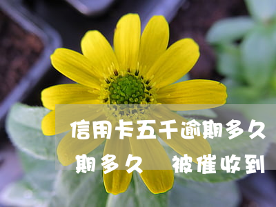 信用卡五千逾期多久會被催收(信用卡五千逾期多久會被催收到)