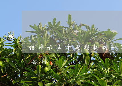 信用卡五千逾期翻到一万二(信用卡 逾期 万五 每日)