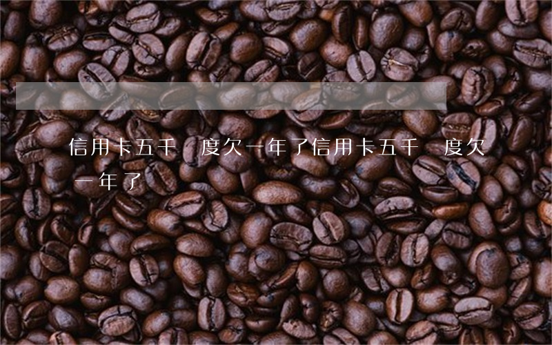 信用卡五千額度欠一年了(信用卡五千額度欠一年了)