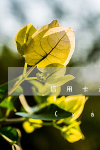 信用卡五千額度逾期一年(信用卡五千額度嚴(yán)重逾期會(huì)有什么后果)