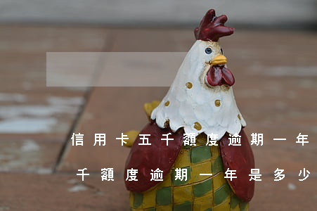 信用卡五千額度逾期一年是多少-信用卡五千額度逾期一年是多少利息