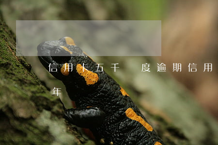 信用卡五千額度逾期(信用卡五千額度逾期半年)