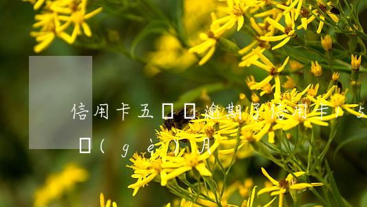 信用卡五塊錢逾期了(信用卡15塊錢逾期一個(gè)月)