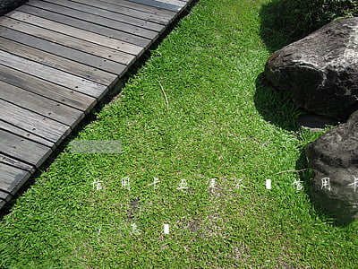 信用卡五年不還(信用卡五年不還會(huì)怎樣)