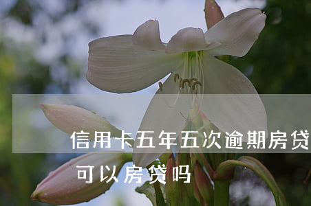 信用卡五年五次逾期房贷(五年内有五次逾期可以房贷吗)