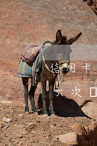 信用卡五年內(nèi)連續(xù)逾期六次(兩年十幾次信用卡逾期)