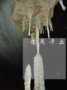 信用卡五年內(nèi)逾期22次怎么辦-