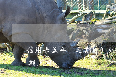 信用卡五年內逾期105次(五千的信用卡逾期六年)
