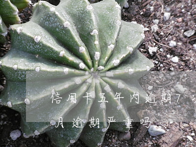 信用卡五年内逾期7次(信用卡5年内有8个月逾期严重吗)