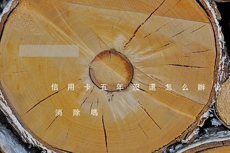 信用卡五年沒還怎么辦(信用卡不還5年后會消除嗎)