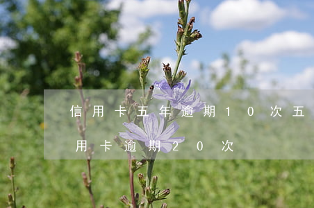信用卡五年逾期10次(五年內(nèi)信用卡逾期20次)