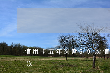 信用卡五年逾期59次(信用卡五年逾期59次)